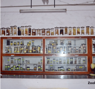 Al Ameen College of Arts Science & Commerce Campus photo 11